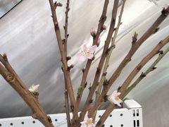 -苏宁易购(上海沪太路二店)