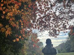 -敬亭山风景名胜区