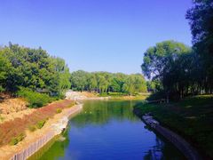 -大兴滨河森林公园