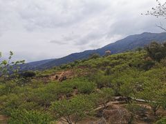 -广州市流溪河国家森林公园