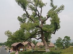 -良渚古城遗址公园