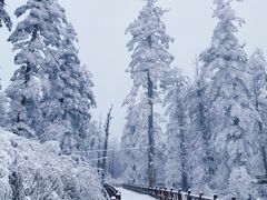 -瓦屋山景区