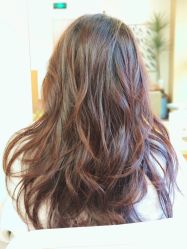 -THE LOG SALON 记录