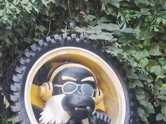 -西双版纳原始森林公园