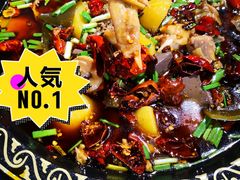 -一只烧鸡公(解放碑店)