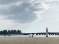 -东郊椰林