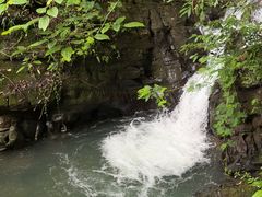 -江西阳明山国家森林公园