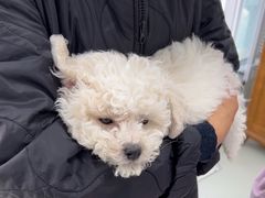 -美美宠物诊疗中心·异宠·骨科(滨江东信分院)