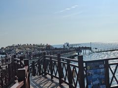-养马岛旅游度假区
