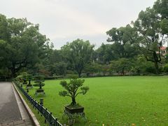 -申粤轩酒楼·三十年粤菜经典(丁香花园店)