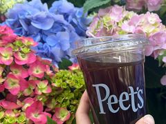 -Peet's Coffee皮爷咖啡(大学路店)