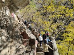 -北京上方山国家森林公园