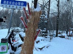 -雾凇岛