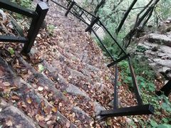 -王顺山国家森林公园