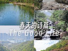 -桃花岭景区