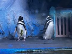 -常州海昌海洋探索馆