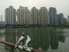 -西北湖绿化广场