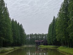 -黄海国家森林公园