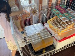 -蓝湾碧波·老字号·疍家非遗海上餐厅
