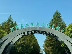 -黄海国家森林公园