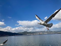 -海埂大坝