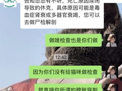 -谐和益家动物医院·免疫绝育·血液透析·宠保定点医院(高新伊藤分院)