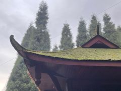 -九峰山