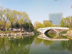 -大兴滨河森林公园