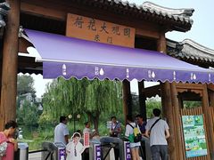 -白洋淀景区