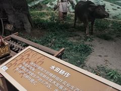 -中国农业博物馆