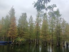 -白鹭湾湿地公园