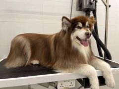 -comecome来吧宠物(奥克斯中心店)