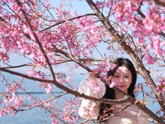 -南诏风情岛