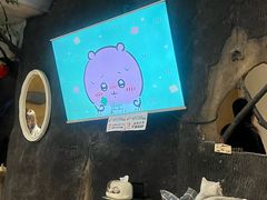 -猫猫幼稚园·撸猫·桌游·电玩