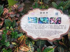 -南山植物园