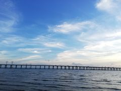 -宝安西湾红树林湿地公园