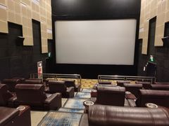 -武汉华夏国际影城(鲁广店)