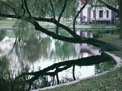 -上海共青森林公园