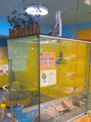 -神奇动物撸宠馆·羊驼·小浣熊·异宠(豫园店)