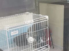 -天宠宠物医院24小时·急重症诊疗中心·全科·腔镜特色(和平分院)