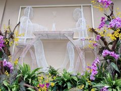 -深圳仙湖植物园