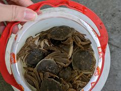 -小象钓虾·营地烧烤(洛溪店)