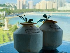 -三亚绿发山海天JW万豪酒店