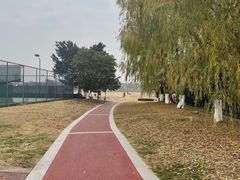 -桂溪生态公园