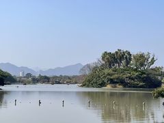 -江心屿景区