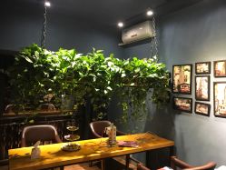 点击看大图 -藤野造型