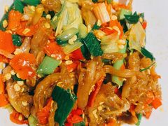 鸭掌筋-壹盏灯(惠农店)