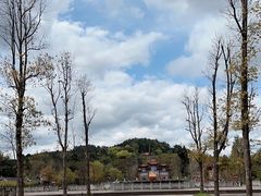 -中国观音故里广德景区