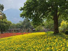 景点-广州市流溪河国家森林公园