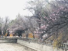 -罗布林卡